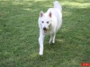yuma2011_017